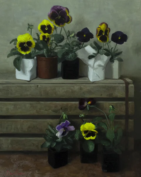 Pansies